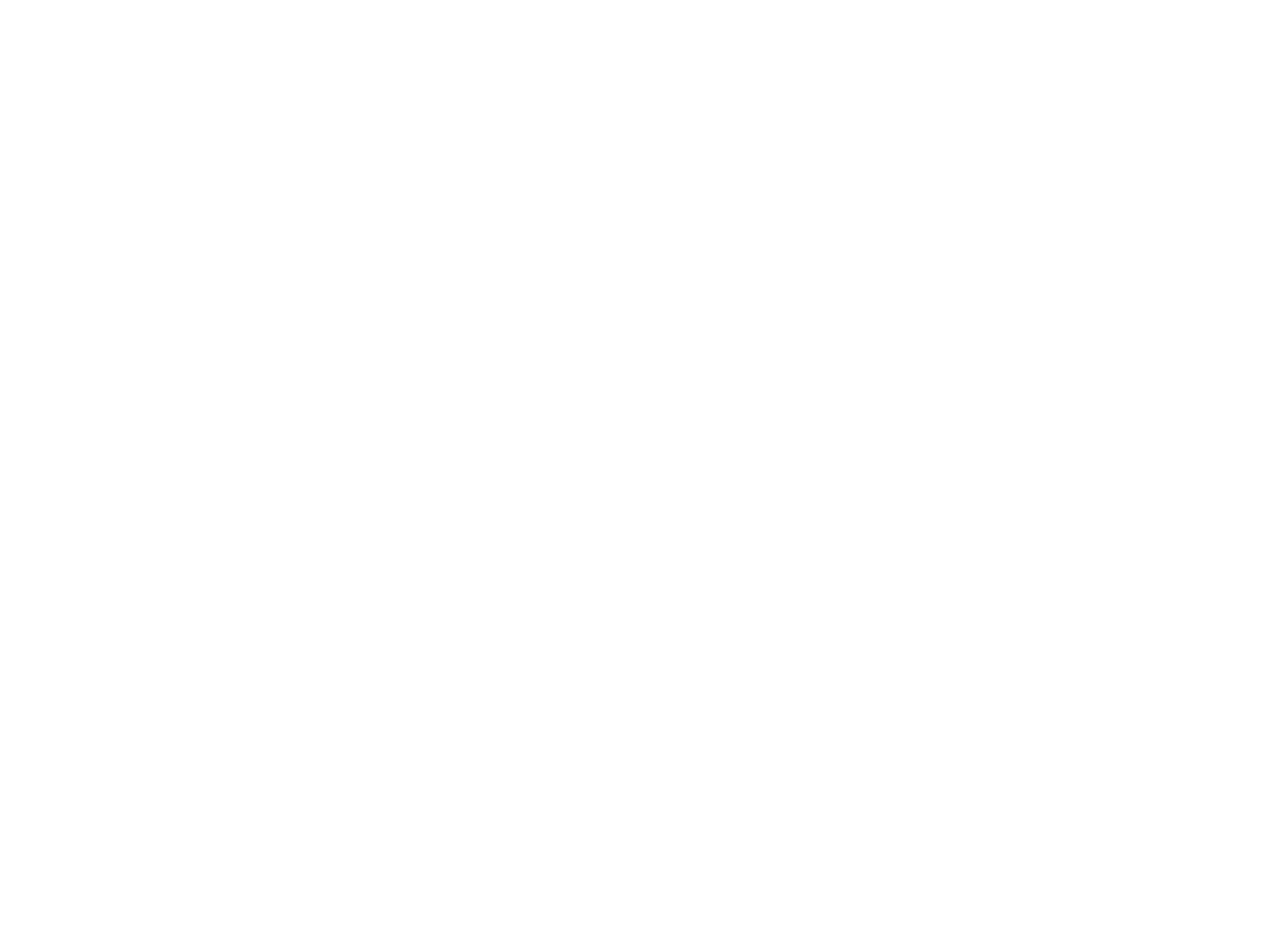 · CHANGAN NEVO